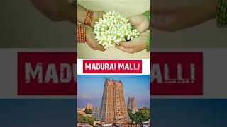 மதுரை மல்லி | Madurai malli