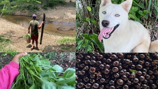 OLHA SÓ QUE AVENTURA/ FUI COM MEU IRMÃO COLHER JABUTICABA