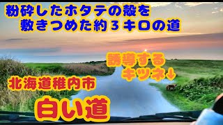 【北海道ドライブ風景】【稚内市】【白い道】本当に美しい道、行きたくなりますよね。