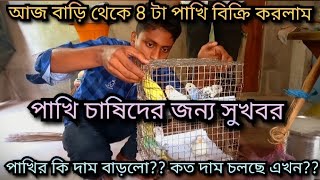 8 budgies bird price in February 2023 || পাখি চাষিদের জন্য সুখবর || কত দাম বাড়লো পাখির ??