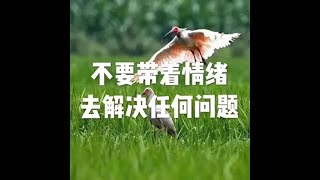 201501 不要带着情绪去解决任何问题21330