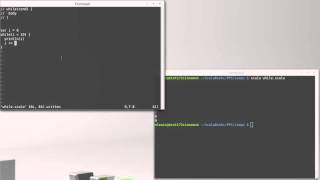 The while Loop (in Scala)