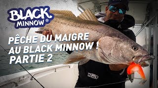 Fiiish - Pêche du maigre au Black Minnow - Partie 2