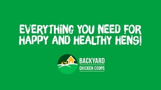 Chicken coop accessories for happy and healthy hens!