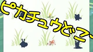 トンガリ帽子ピカチュウを捕まえたい！新宿中央公園でチャレンジ【新ユウユ】