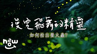 攝影小妙招 #01 螢火蟲怎麼拍？漫空飛舞的精靈  I 攻略