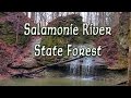 Exploring Salamonie River State Forest