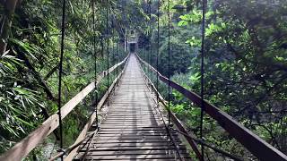 สะพานแตปูซู Tae Pusu Bridge