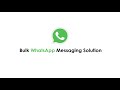 my automation: Bulk WhatsApp Messaging Solution Demo
