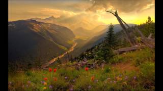 Chillstep Selection #30