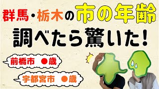 【市が誕生して何年かを調査】群馬＆栃木の市の年齢、調べて驚いた！【群馬と栃木の「おとなり劇場」】