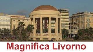 AlfaSierra - Magnifica Livorno