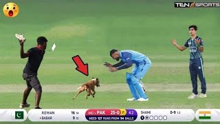 Top 10 Latest Funny Animal Attacks In Cricket Ever