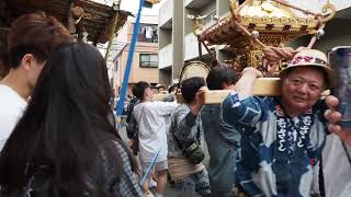 南品川　荏原神社　例大祭　天王祭　2023/6/4 e2