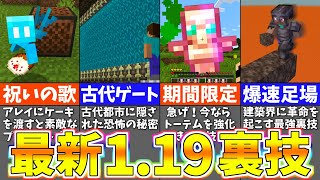 マイクラ1.19 知っておくべき最新バグ・裏技 10選【小ネタ・豆知識】【まいくら・マインクラフト】