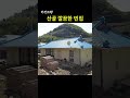 빈집귀향 산골마을 깔끔한 빈집 shorts