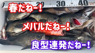 【メバルサビキ】ザ鉄腕DASH島近海まで釣りに行って来た！！