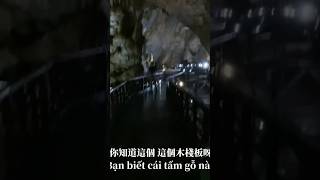 中越天堂洞! 全越南最美鐘乳石洞! thiên đường cave SE 3