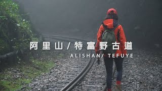 【TAIWAN｜HIKE】阿里山特富野古道(Take a walk:Tefuye, Alishan)