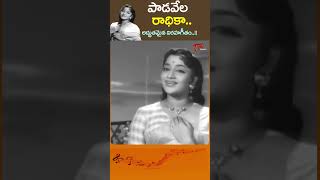 పాడవేల రాధికా.. Padavela Radhika Song | Iddaru Mithrulu Old #EVSaroja Melody #shorts #youtubeshorts