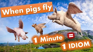 When Pigs Fly | 1 MINUTE LESSON | Learn English Idioms in less than a minute