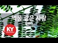 [KY ENTERTAINMENT] 먹물 같은 사랑 - 김유라 (KY.89282) / KY Karaoke