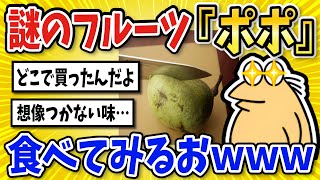 【2ch面白いスレ】謎のフルーツ『ポポ』を食べていくでｗｗｗ【グルメ料理】