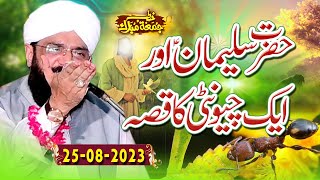 Hazrat Suleman as aur Chunti Ka Waqia Imran Aasi Bayan - Hafiz Imran Aasi Official