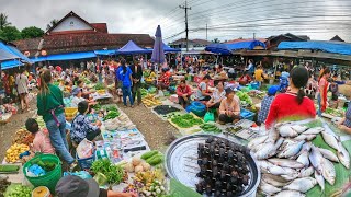 ເລາະຕະຫຼາດເຊົ້າເມືອງນ້ຳບາກ, ຫຼວງພະບາງ ສູນລວມອາຫານທຳມະຊາດ 🇱🇦 เลาะตลาดเช้าเมืองน้ำบาก, หลวงพระบาง, ลาว