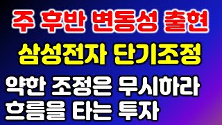 장중시황] 9/17 주 후반 변동성 출현 / 삼성전자 단기조정의 시작인가? / 약한 조정은 무시하고 흐름을 타는 투자가 중요하다