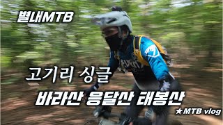 [별내MTB] 대장동 고기리 싱글 🌲 바라산 응달산 태봉산  🚴 거참 😡 등산객 길막