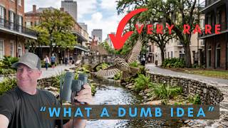 This 'Rare Bird Rush' Was a Horrible Idea | Summer Project Teaser