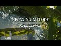 Relaxing Melody  / Ambient Relax Peaceful Piano Sad Background Music (Royalty Free)