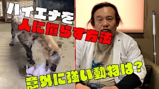 動物の疑問解決「意外に強い動物は？」「ハイエナは人に慣れる？」