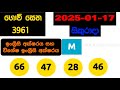 govisetha 3961 2025.01.17 today lottery result අද ගොවි සෙත ලොතරැයි ප්‍රතිඵල nlb