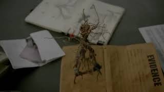 True Detective - Camera circling around small twig structure