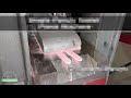 Single Punch Tablet Press Machine