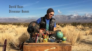 David Roos - Dinosaur Bones - NPR Tiny Desk (Music Video)