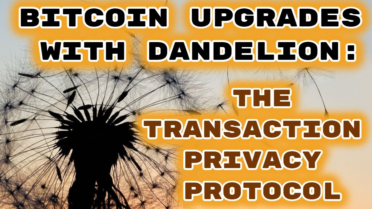 Bitcoin Upgrades To Dandelion: The Transaction Privacy Protocol - YouTube