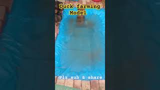 Duck farming Model at kisan Mela PAU Ludhiana 2023 #pau #kisan #mela