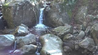 癒しの風景　芦津渓谷　かなめたにはし