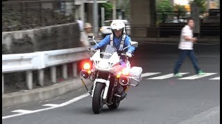 白バイの凄い加速と躍動感!!交通機動隊が信号無視の違反車を猛追跡!!急いでいても会釈を忘れない神対応!!Japanese Motorcycle police