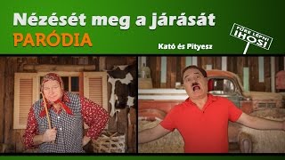 Mert a nézését meg a járását - Kató és Pityesz (PARÓDIA)