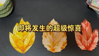 塔羅占卜: 即将发生的超级惊喜