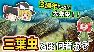 【ゆっくり解説】繁栄に大成功した節足動物　三葉虫とは何者か？