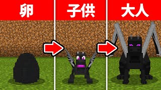 マインクラフト 自分だけのエンダードラゴンを飼い慣らす方法 ゆっくり実況