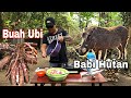 Buah Ubi Masak Bersama Tulang Babi Sampai Jadi Lembut,Chef Borneo.