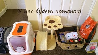 ПОКУПАЕМ ПИТОМЦА 🐈 Что нужно котёнку? Готовимся к покупке котёнка!!!