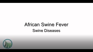 African Swine Fever: Swine Diseases