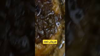 جريش نجدي باللبن و مزين بحمسة البصل